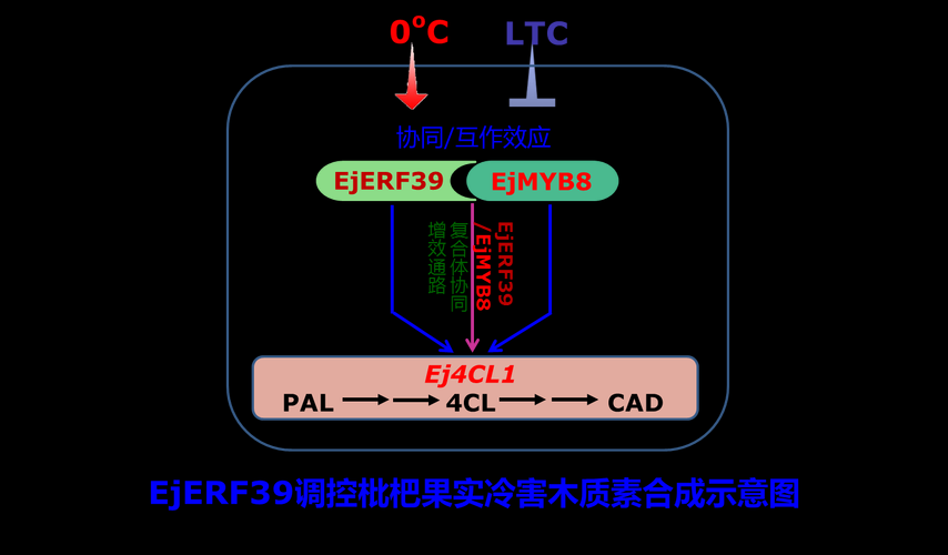 从实验室到期刊:低温贮藏论文怎么写才能让编辑眼前一亮?