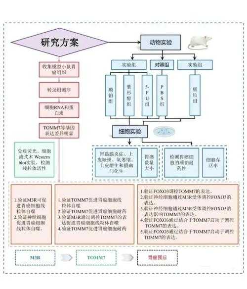 从新手到专家:手把手教你高效查阅AFM论文的科研生存指南