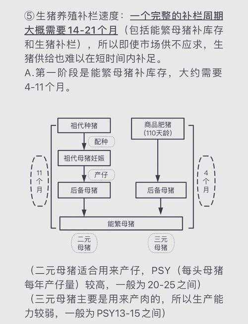 从饲料配比到经济效益:一篇养猪论文的跨学科写作指南