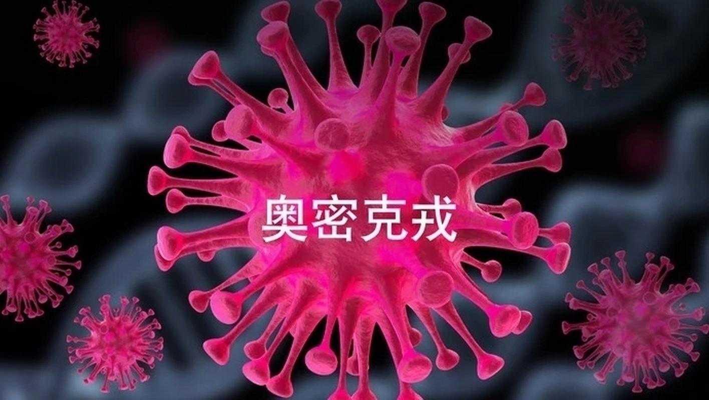 当春运遇上奥密克戎：基于行为科学的春节防疫策略研究