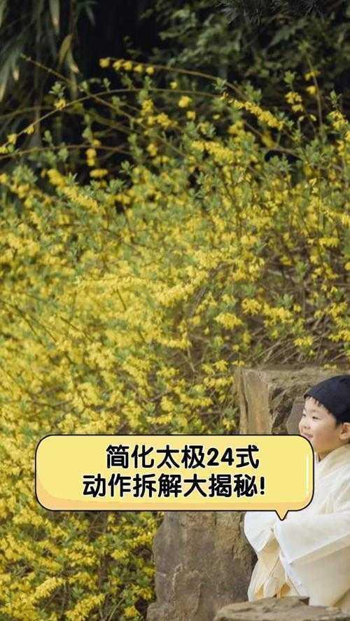 从零开始:如何用学术思维拆解太极入门研究