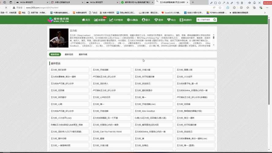 从菜鸟到高手：手把手教你玩转学院网站论文查询系统