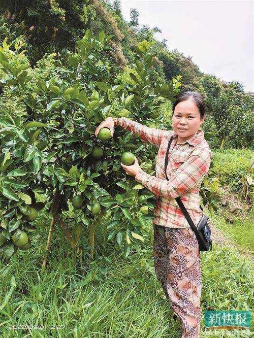 从零到一:智慧农业论文自述怎么写才能让审稿人眼前一亮?