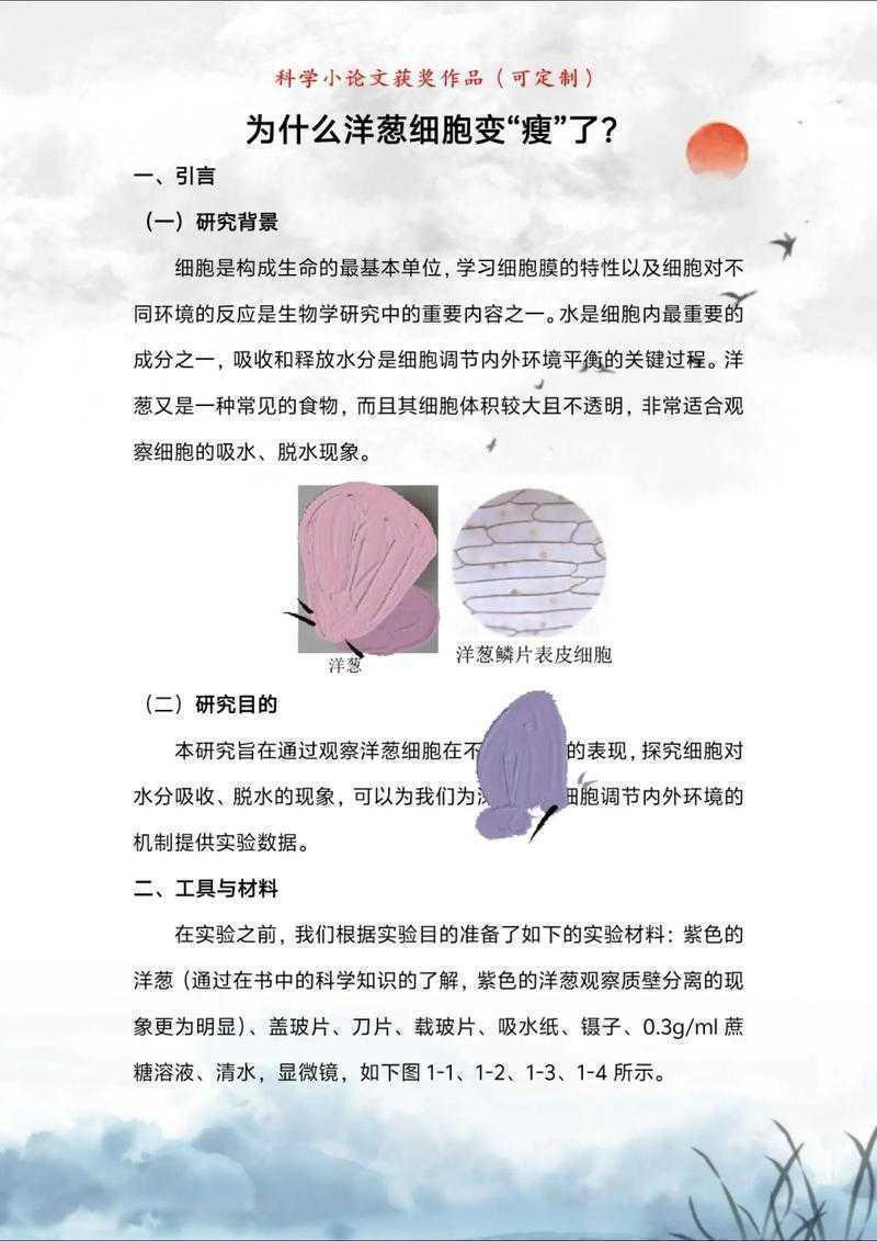 从零到一：手把手教你用科学方法验证论文假设