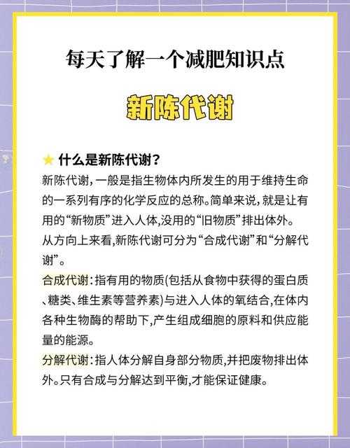 科学减重的多维视角：从代谢机制到行为干预的实证研究