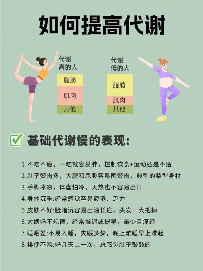 科学减重的多维视角：从代谢机制到行为干预的实证研究