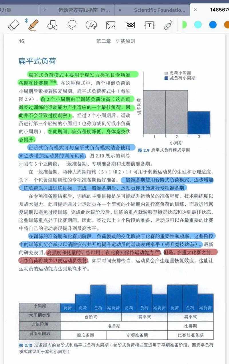 从认知负荷理论看青少年议论文写作的责任意识培养