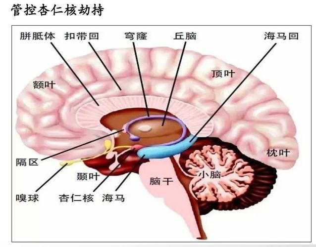 德语学术宝藏怎么挖?从零开始掌握德语论文检索的底层逻辑