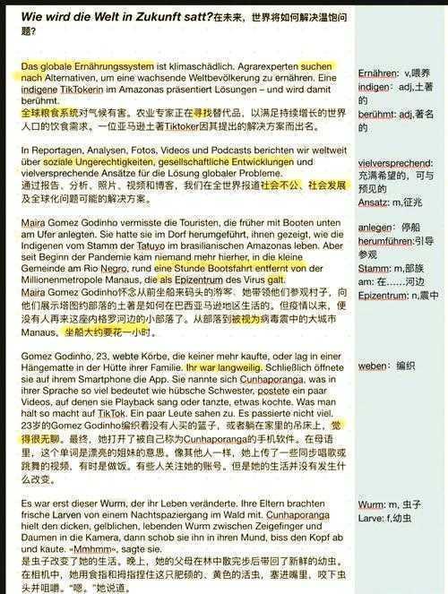 德语论文怎么排版好看？这份学术排版指南让你效率翻倍