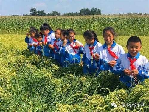 数据驱动+田野实践：南康地理小论文写作全攻略