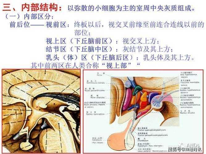 深夜赶论文的你，真的把“特点”写透了吗？一份学术老司机的解剖报告