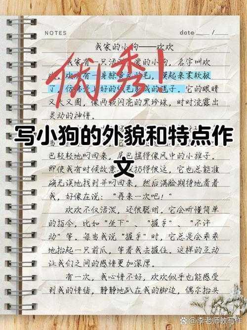 手把手教你写出高分论文：学术狗的真实作战手册