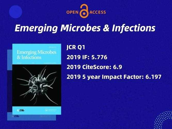 英语医学论文终极指南：从实验室到期刊的实战拆解
