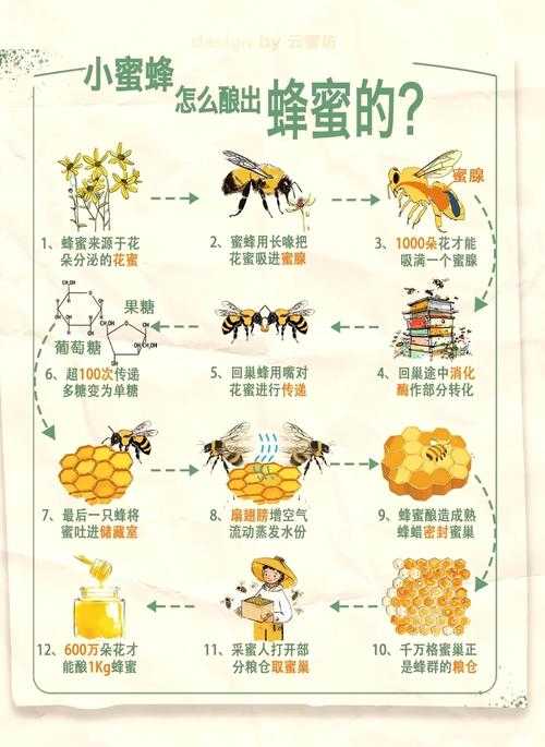 蜂蜜自动灌装论文全攻略：从选题到发表的保姆级教程