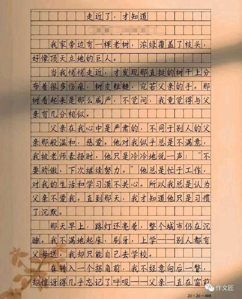 不止是看树：一篇“如何观察一棵树地理论文”的完整研究指南