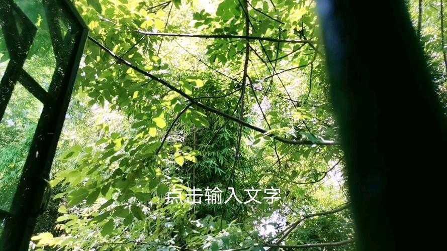 深夜改论文卡在案例隐名？这份全攻略拯救你的伦理与效率