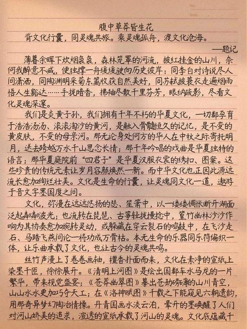 初一议论文该如何写好