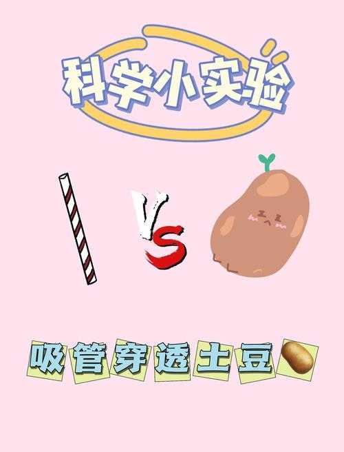 从厨房到实验室：土豆冰淇淋研究的全流程拆解