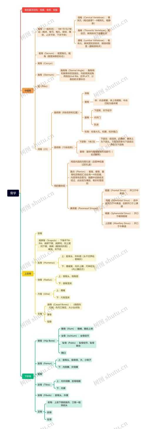 从“骨架”到“灵魂”：如何从论文框架分析论文的深层逻辑