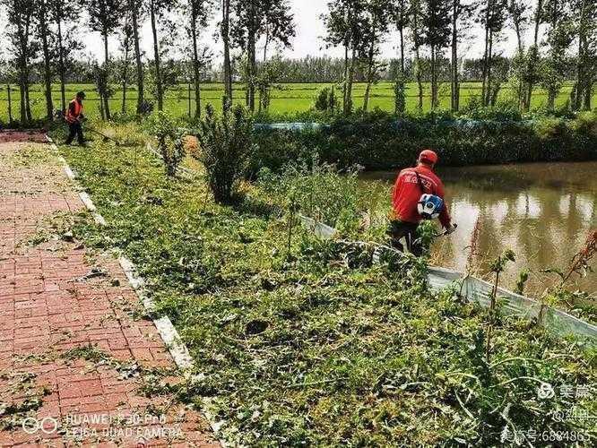 有机鳙鱼加工论文的7个通关秘籍：从实验台到期刊投稿