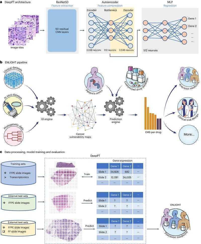 产品服务研究论文写作:拆解8个核心模块
