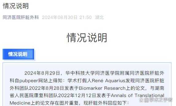 论文如何算剽窃论文数量：一个被忽视的学术研究领域