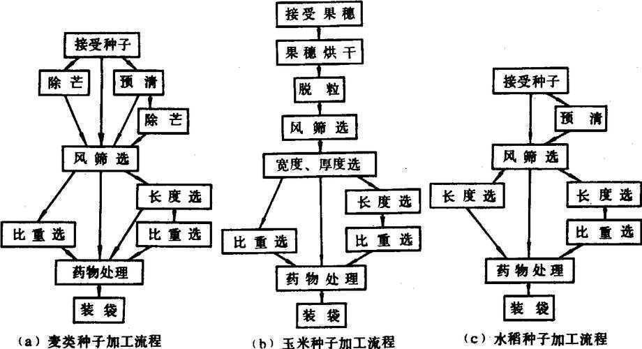 从开题到投稿：玉米繁殖方式研究的全流程实战指南