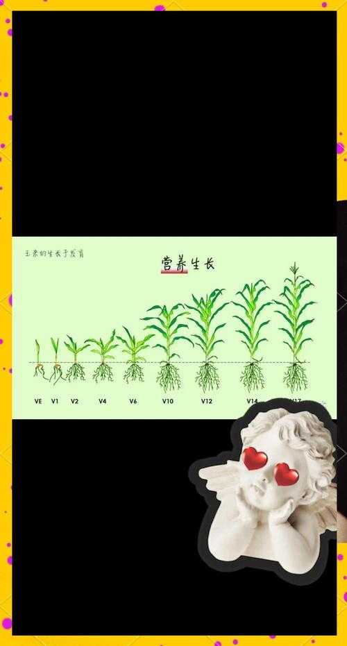 从开题到投稿：玉米繁殖方式研究的全流程实战指南