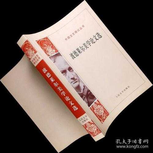 国际视野中的虚假诉讼：如何撰写具有全球影响力的外国论文