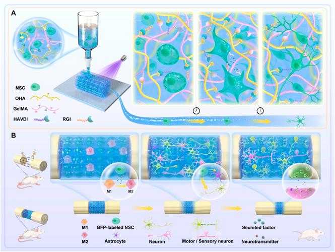 科研干货：从文献碎片到学术拼图的材料整合术
