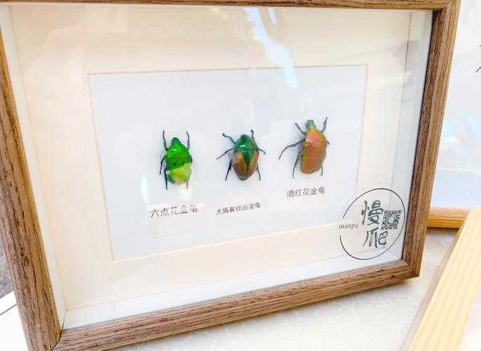 别再干啃谱面！新手友好型《悲怆的黎明》论文写作通关指南