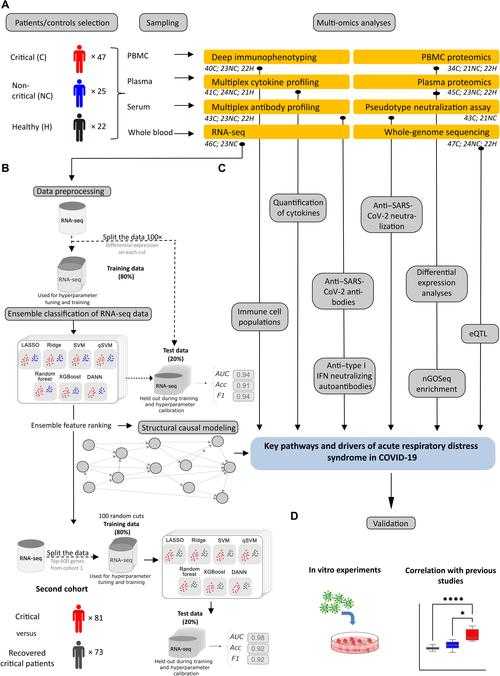 数据迷雾中的真相：识别与防范学术造假的技术指南