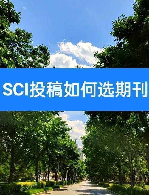 避开这些坑，你的SCD论文投稿成功率提升50%！