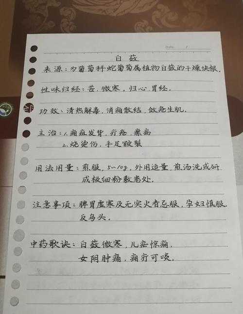 破解学术迷局:实战指南教你如何鉴别白芨论文