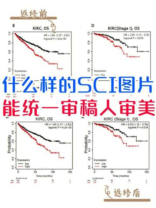 别再让审稿人皱眉!论文插图标注的“潜规则”与进阶技巧