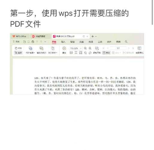 WPS论文压缩指南：一篇让你毕业季硬盘不再告急的实用研究