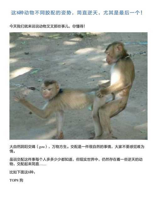 穿越时空的学术护盾：本科生论文保存的N+1种正确姿势