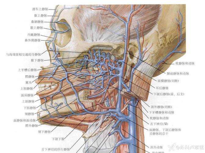 解剖学术写作：深度解析论文核心构成要素