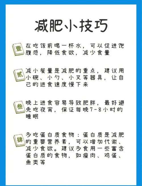 从学术视角拆解“如何科学减肥”：一篇论文的诞生记
