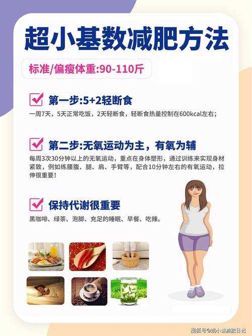 从学术视角拆解“如何科学减肥”：一篇论文的诞生记