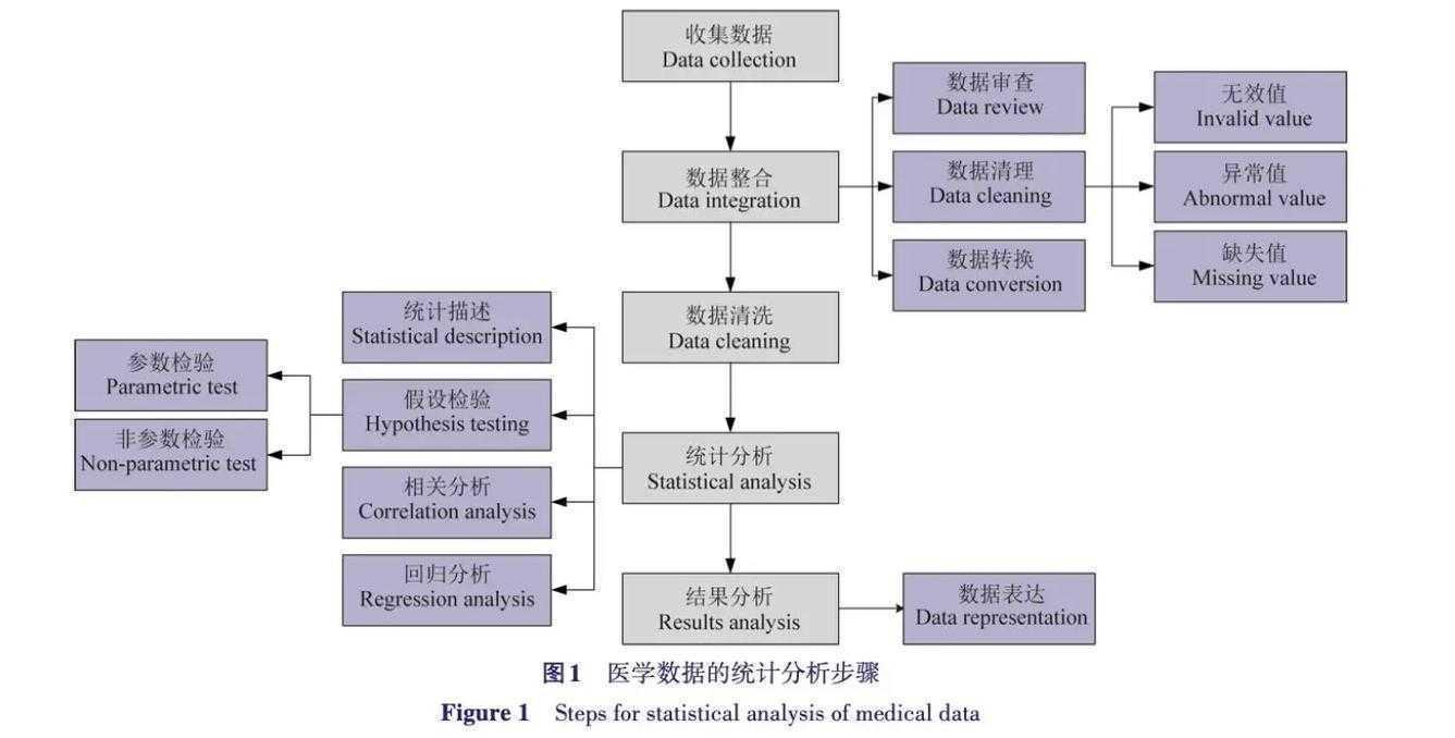 论文P值实战指南：从统计显著到学术表达的全流程解析