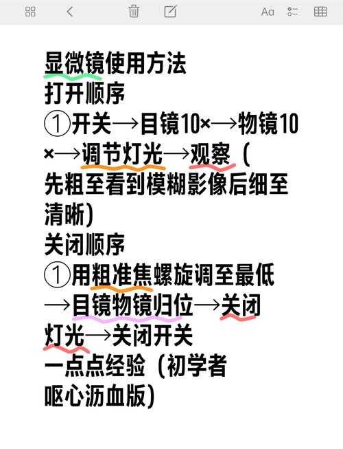 如何选毛衣论文:从新手到专家的完整研究指南