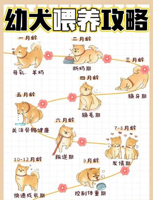 如何选毛衣论文:从新手到专家的完整研究指南