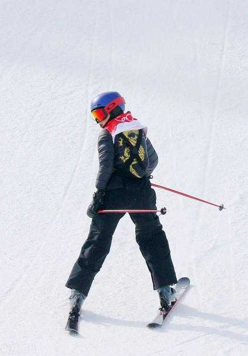 从零到一：给新手的冬奥会论文写作实战指南