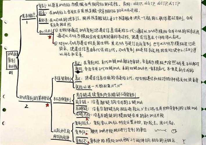 拆解论文“基因图谱”：如何浅析论文提纲的科学与艺术