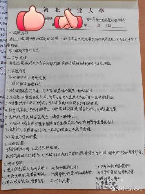 论文小鸡标题是什么？——从学术写作到传播策略的深度解析