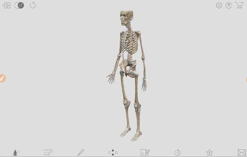 论文结构解剖课：从零搭建你的学术大厦