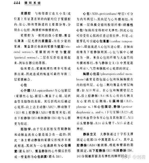 论文结构解剖课：从零搭建你的学术大厦