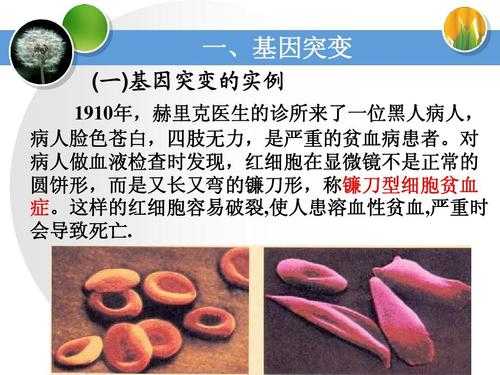 论文内容优化的五维手术刀：从段落细胞级修复到学术基因重组