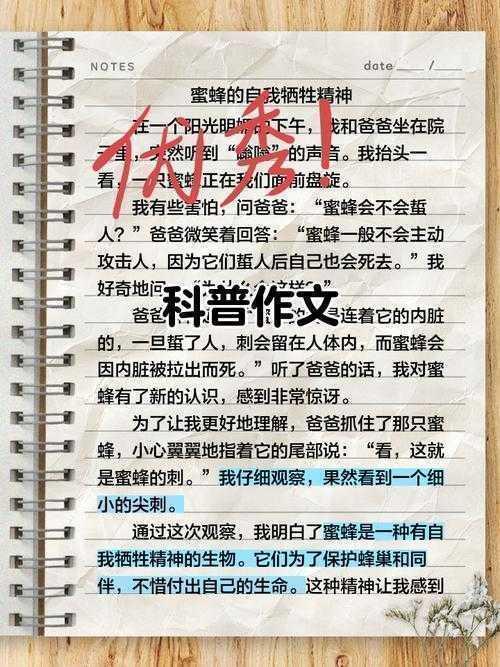 科技论文缩写的艺术：从新手到高手的完整指南